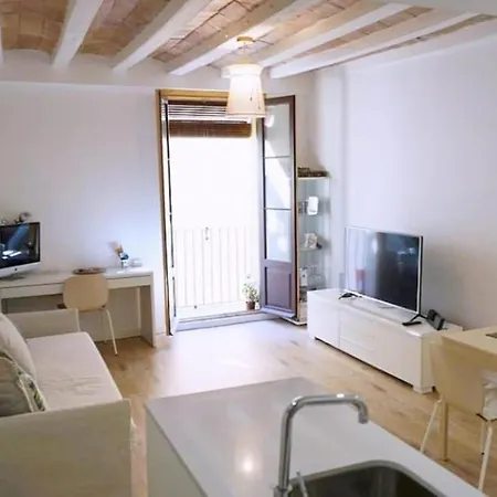 La Casa Verde Apartment Barcelona
